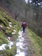 12.23.05 Elowah Falls 014 